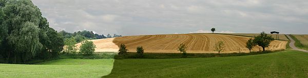 Schwitzhütte in Altmörbitz-Februar 2008